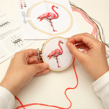 Embroidery Kit - Flamingo