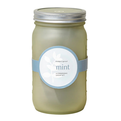 Hydroponic Garden Jar - Mint