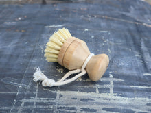 Dish Brush - Firm Bristles