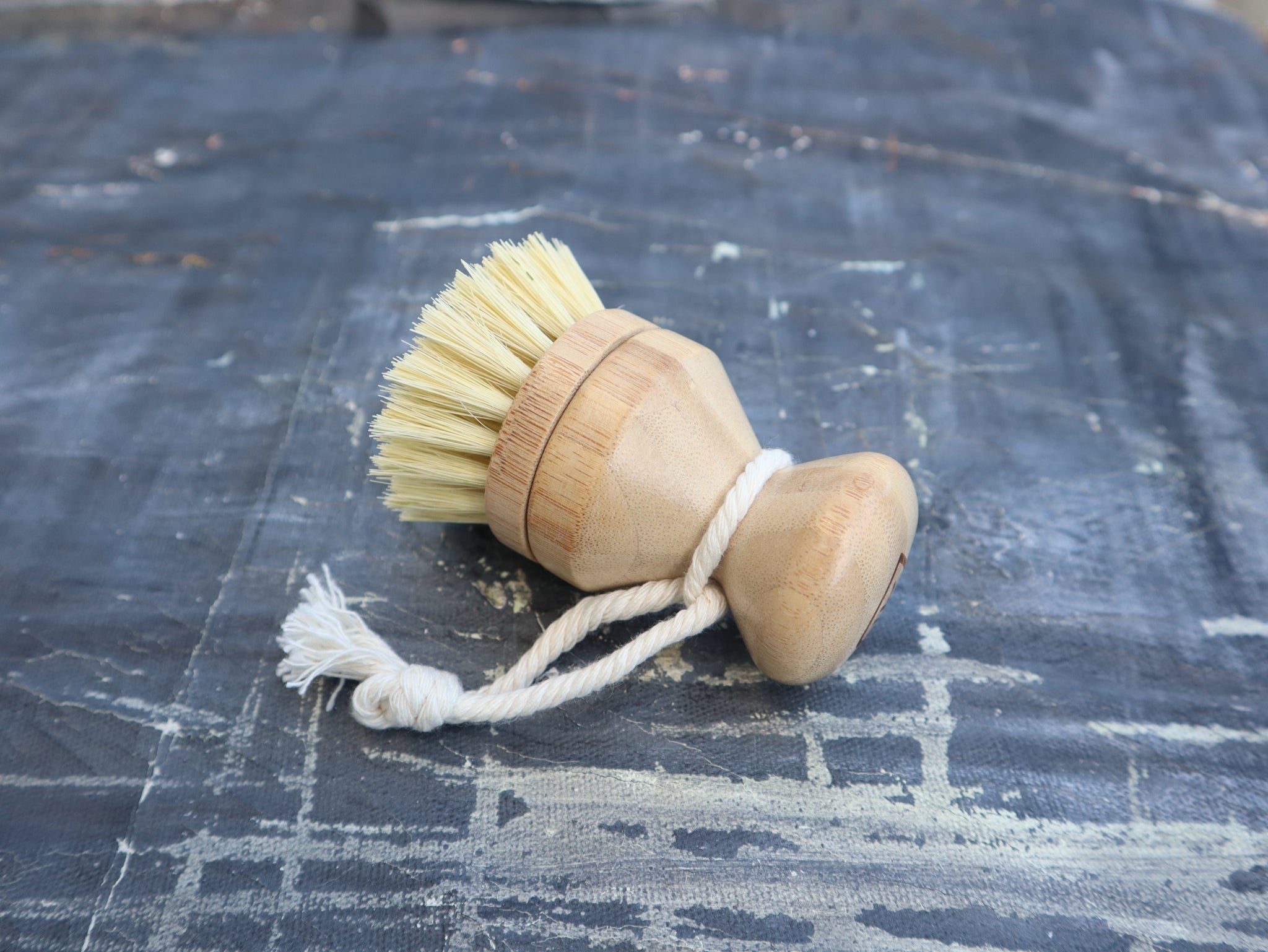 bare market Dish Brush - Firm Bristles