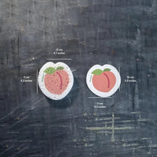 Compostable Dish Sponge - Peach