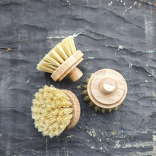 Dish Brush - Firm Bristles