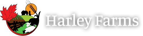 Frozen Beef Stir Fry Strips (Harley Farms)