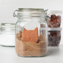 Terracotta Sugar Saver - Calvin Cat