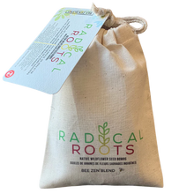 Seed Bombs - Bee Zen Blend