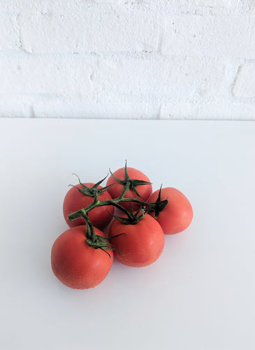 Conventional Tomatoes