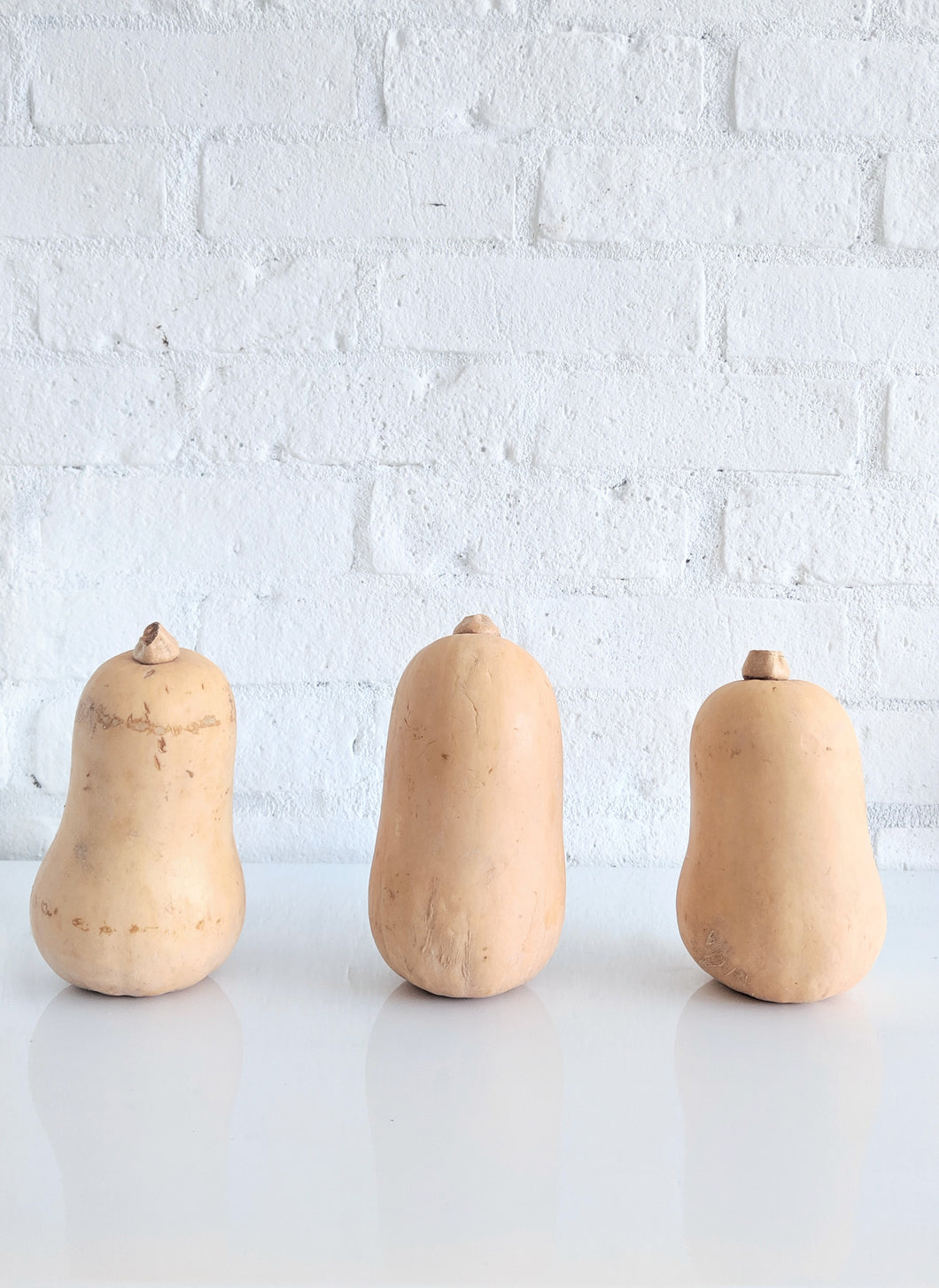 Organic Squash