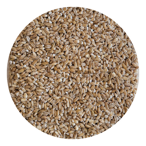Pearl Barley (Organic)