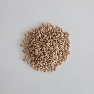 Hulled Barley (Organic)