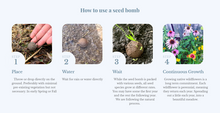 Seed Bombs - DIY Kit