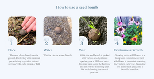 Seed Bombs - Butterfly Garden